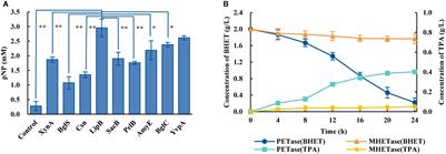 Evaluation of PET Degradation Using Artificial Microbial Consortia